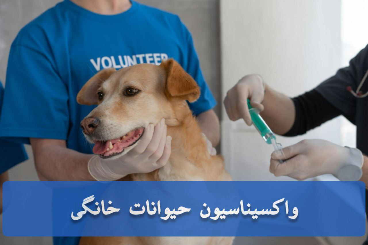 واکسیناسیون حیوانات خانگی